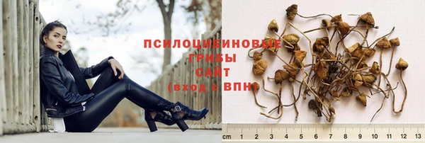 молекула духа Армянск